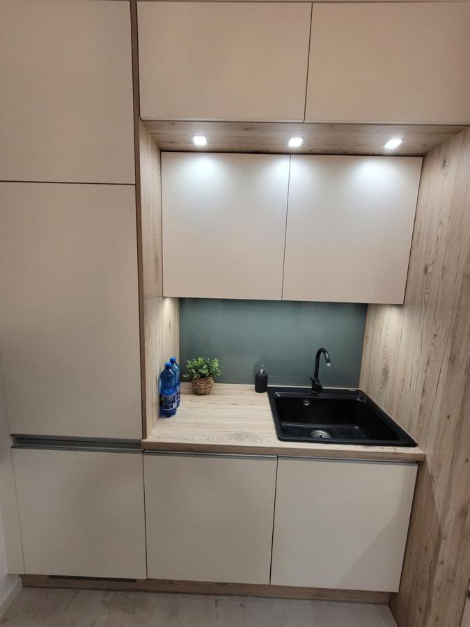 ポズナンApartament Polankaアパートメント エクステリア 写真